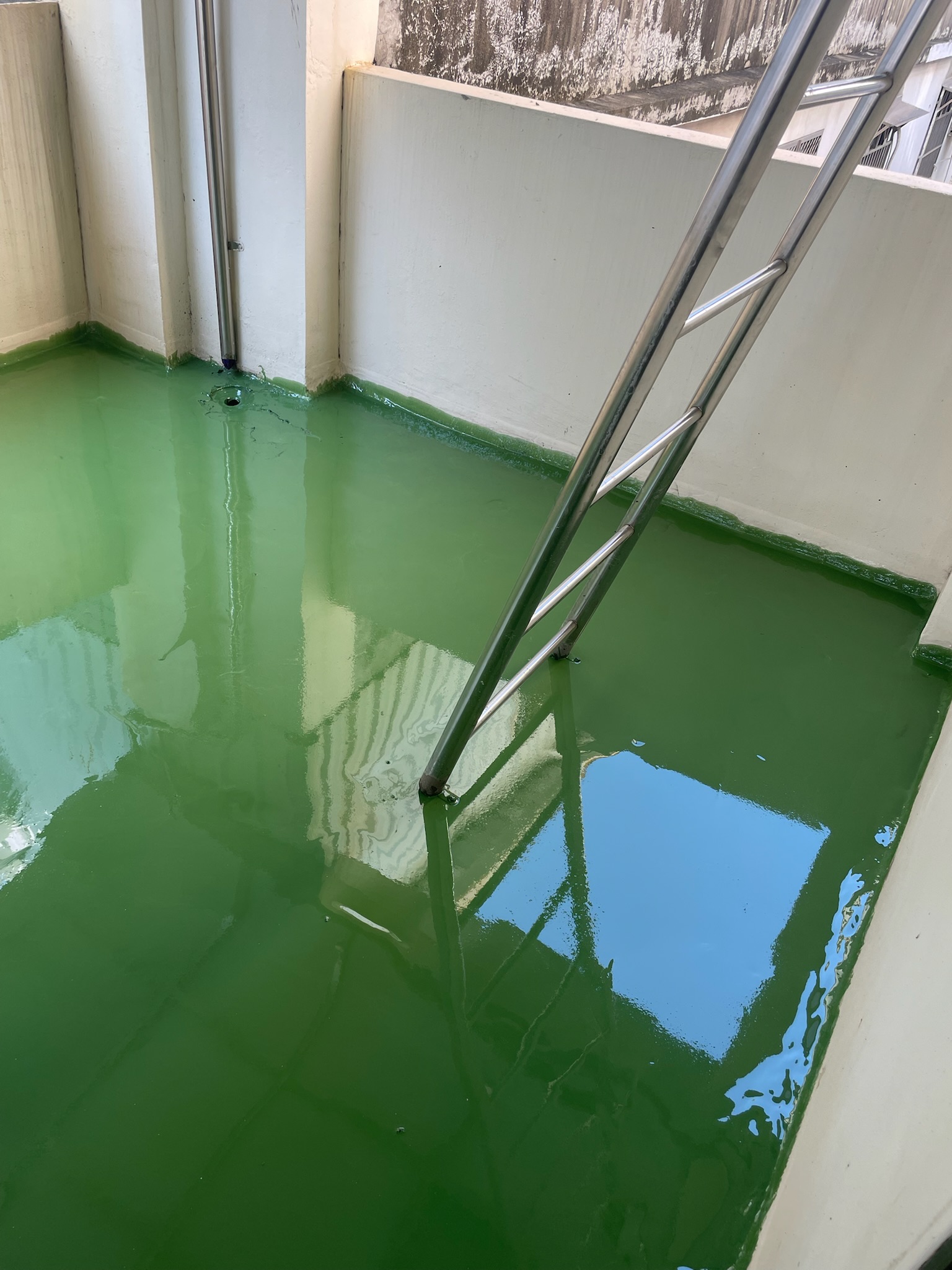 屋頂防水全面完成